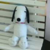 admin/fotos/SNOOPY