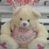 admin/fotos/URSO ROSA - DECORACAO 2